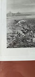 Framed Hare Wildlife Print - thumbnail 3 of 8