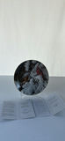(2) Wild Wings Cardinal Collector Plates - thumbnail 6 of 12