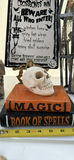Halloween Skeleton and Skull Decorations Assortment LOT - thumbnail 4 of 16