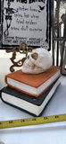 Halloween Skeleton and Skull Decorations Assortment LOT - thumbnail 5 of 16