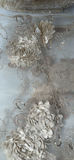 (20+) Set of Embroidered Sheer Fabric Panels with Floral Appliques - thumbnail 5 of 7