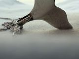 Michael Hill Sterling Silver Whale Tail Necklace - thumbnail 5 of 13