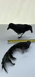 Black Feather Costume Wings, Blackbirds and Black Crinoline Slip - thumbnail 10 of 10