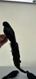 Black Feather Costume Wings, Blackbirds and Black Crinoline Slip - thumbnail 8 of 10