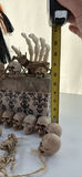 Halloween Skeleton and Skull Decorations Assortment LOT - thumbnail 10 of 16