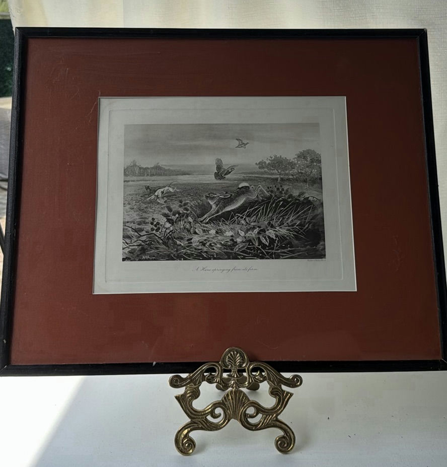 Framed Hare Wildlife Print - image 2 of 8