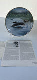 (2) Dominion China Ltd. Loon Collector Plates with Certificates - thumbnail 7 of 13