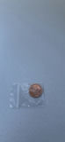 Sitting Bull Hunkpapa Lakota Copper Token Coin - thumbnail 4 of 11