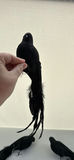 Black Feather Costume Wings, Blackbirds and Black Crinoline Slip - thumbnail 7 of 10