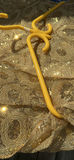 Decorative Fabric and Textile Material Assortment - thumbnail 7 of 7