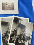 Children, Young And Old, and Dogs Cabinet Photos, Photos - thumbnail 4 of 8