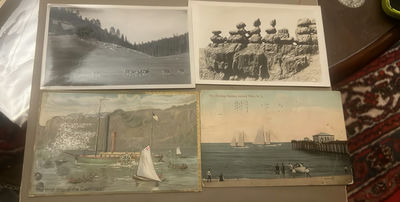 Lot Antique RPPC Postcards National Parks Events - Image 1 of 12