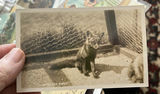 Antique Postcard Lot RPPC California - thumbnail 6 of 26
