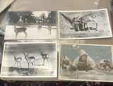Lot Vintage Midcentury Japanese Postcards  WWII Nature - thumbnail 4 of 8
