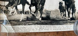 Vintage Horse Racing Press Photos (lot of 4) - thumbnail 15 of 16