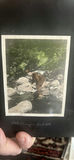 Coming Photos California Mountains 1916 Guides Come Colorized - thumbnail 9 of 20