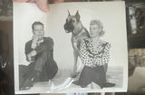 Blondie And Dagwood Movie Stills Original B&W With Great Dane And Baby Dumpling - thumbnail 4 of 5