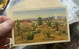 Antique Postcards In Good Condition - thumbnail 14 of 19