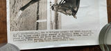 Vintage Horse Racing Press Photos (lot of 4) - thumbnail 11 of 16