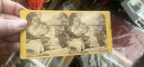 14 Stereoview Cards Of US & International Views Hindenburg Zeppelin - thumbnail 10 of 15