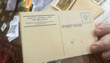 Antique Postcards In Good Condition - thumbnail 11 of 19