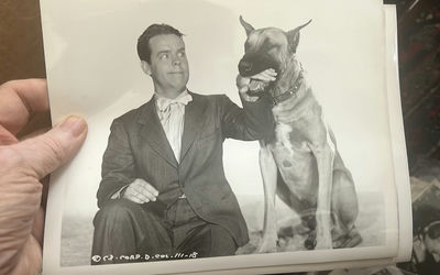 Blondie And Dagwood Movie Stills Original B&W With Great Dane And Baby Dumpling - Image 1 of 5