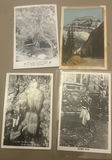 Lot Antique Photo Photo Postcards German Airplanes WWII - thumbnail 6 of 9