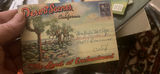 Postcard Accordions 1930S Western United States Redwoods, Painted Desert, Etc. - thumbnail 3 of 10