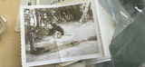 California Brownie Camera Photos 1930’s Lot - thumbnail 10 of 24