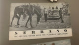 Lot Antique RPPC Postcards National Parks Events - thumbnail 7 of 12