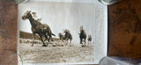 Vintage Horse Racing Press Photos (lot of 4) - thumbnail 5 of 16