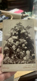 Antique Photos Large Lot Cabinet Cards Timken Corp - thumbnail 2 of 23