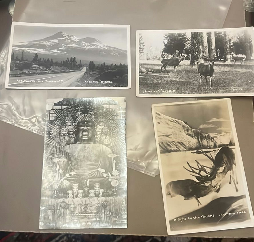 Lot Vintage Midcentury Japanese Postcards  WWII Nature - image 2 of 8