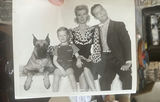 Blondie And Dagwood Movie Stills Original B&W With Great Dane And Baby Dumpling - thumbnail 3 of 5