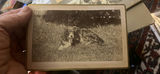 Lot Antique Cabinet Dare Exceptional - thumbnail 7 of 13