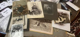 Lot Antique Cabinet Dare Exceptional - thumbnail 1 of 13
