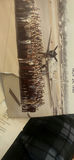 Lot WWII Military Ephemera - thumbnail 8 of 22
