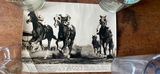 Vintage Horse Racing Press Photos (lot of 4) - thumbnail 14 of 16