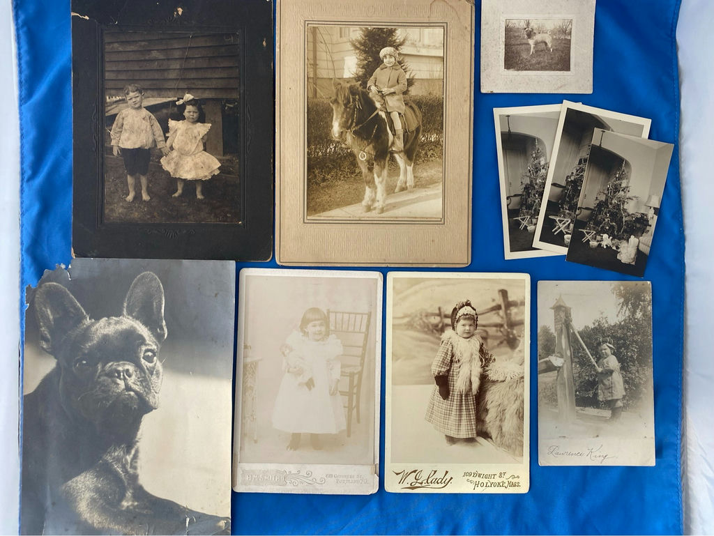 Children, Young And Old, and Dogs Cabinet Photos, Photos - image 1 of 8