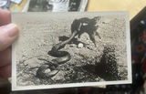 Antique Postcards And Photos Lot Or Ppc And More - thumbnail 10 of 23
