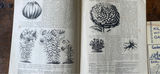 Vintage Flowers And Garden Booklets - thumbnail 6 of 11