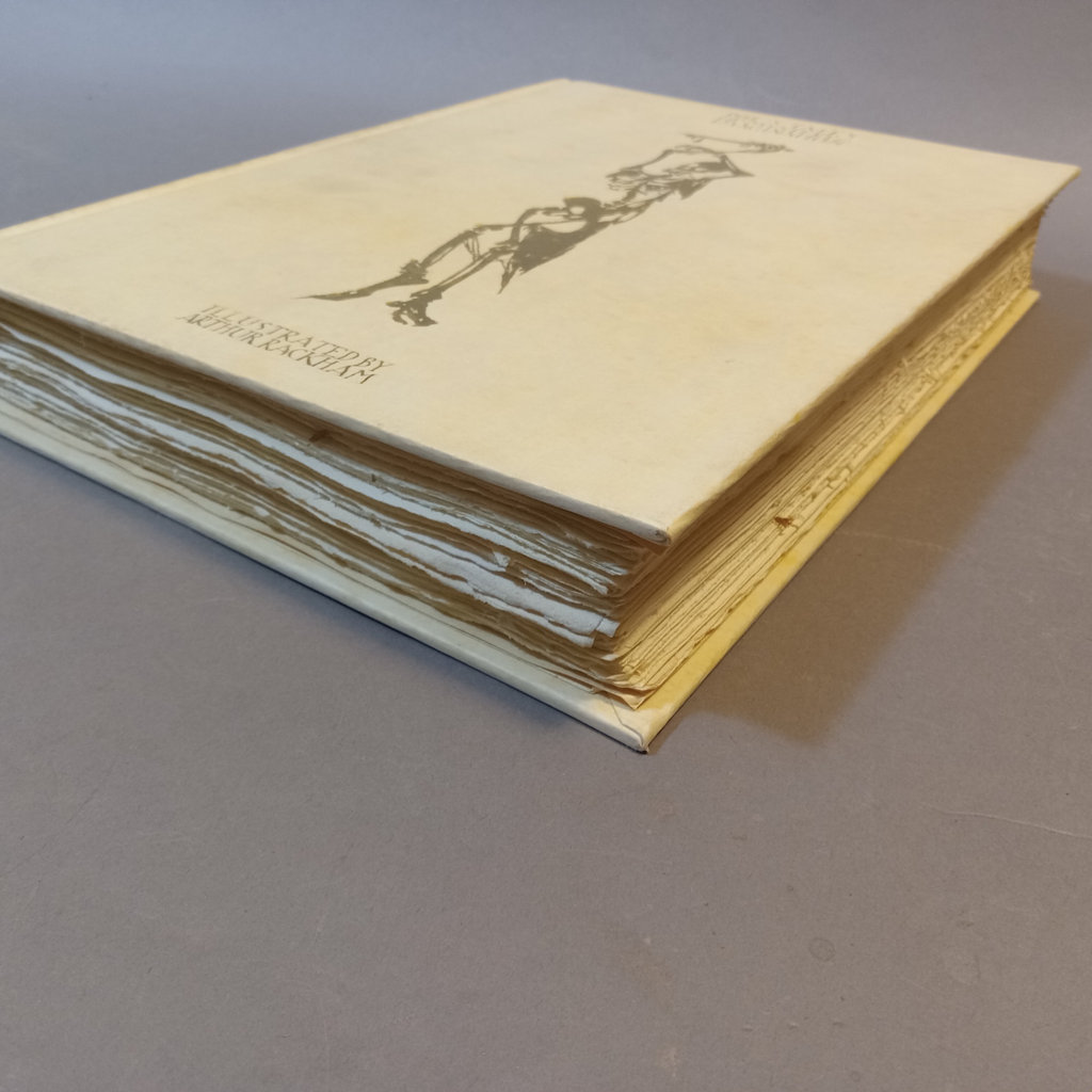 Poe's Tales of Mystery & Imagination / Arthur Rackham illus. - image 9 of 18