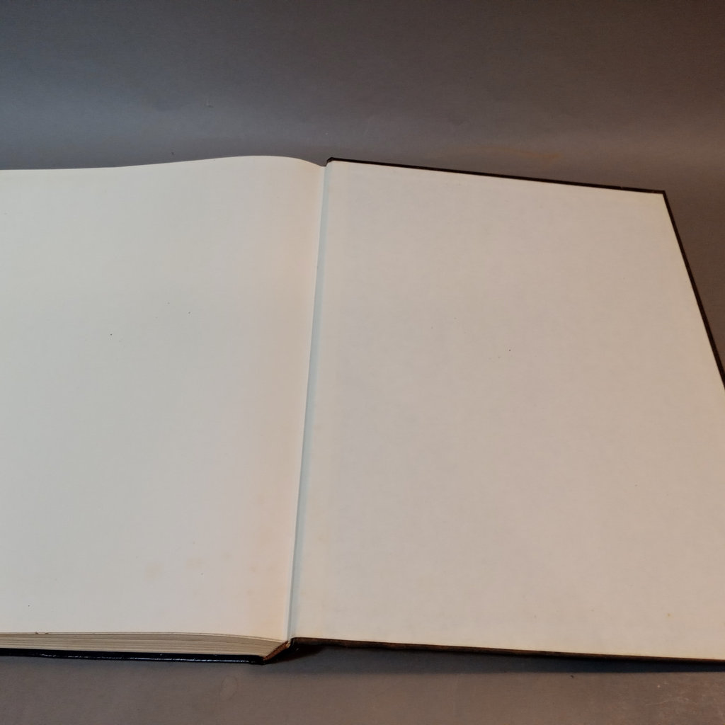 Studer's Popular Ornithology / Oversize Book - image 8 of 9