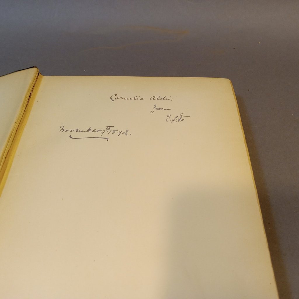 The Life of Michelangelo / Charles Scribner's Sons 1893 - image 12 of 17