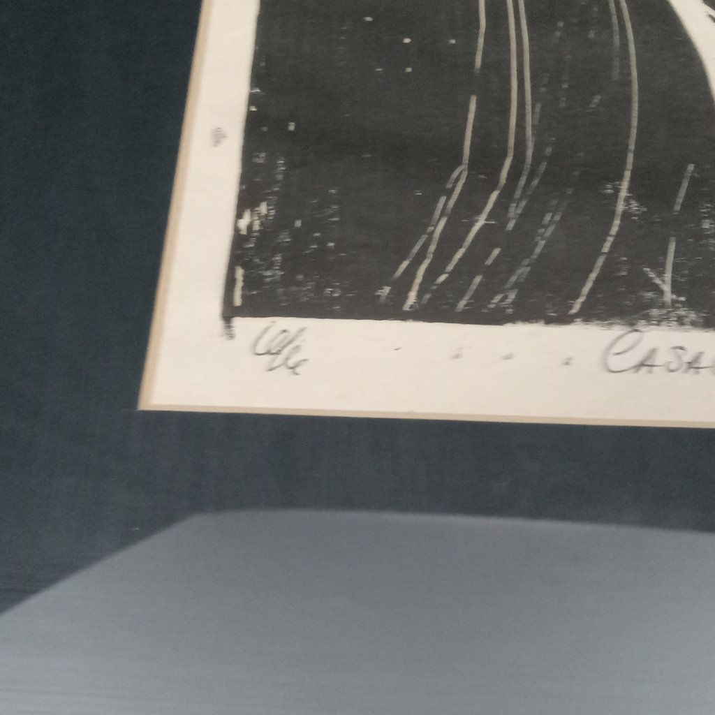 Casa Cinnamon / Ali Web Framed Woodcut Prints - image 9 of 12