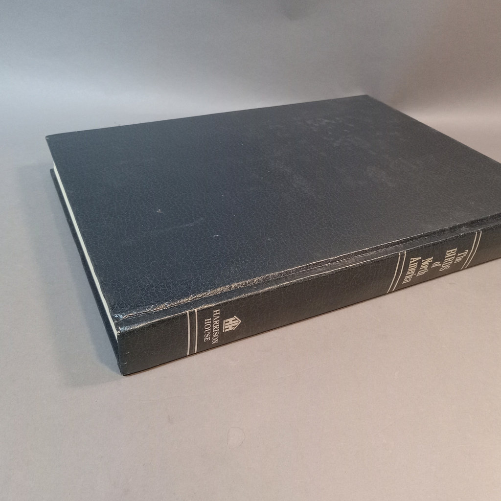 Studer's Popular Ornithology / Oversize Book - image 9 of 9