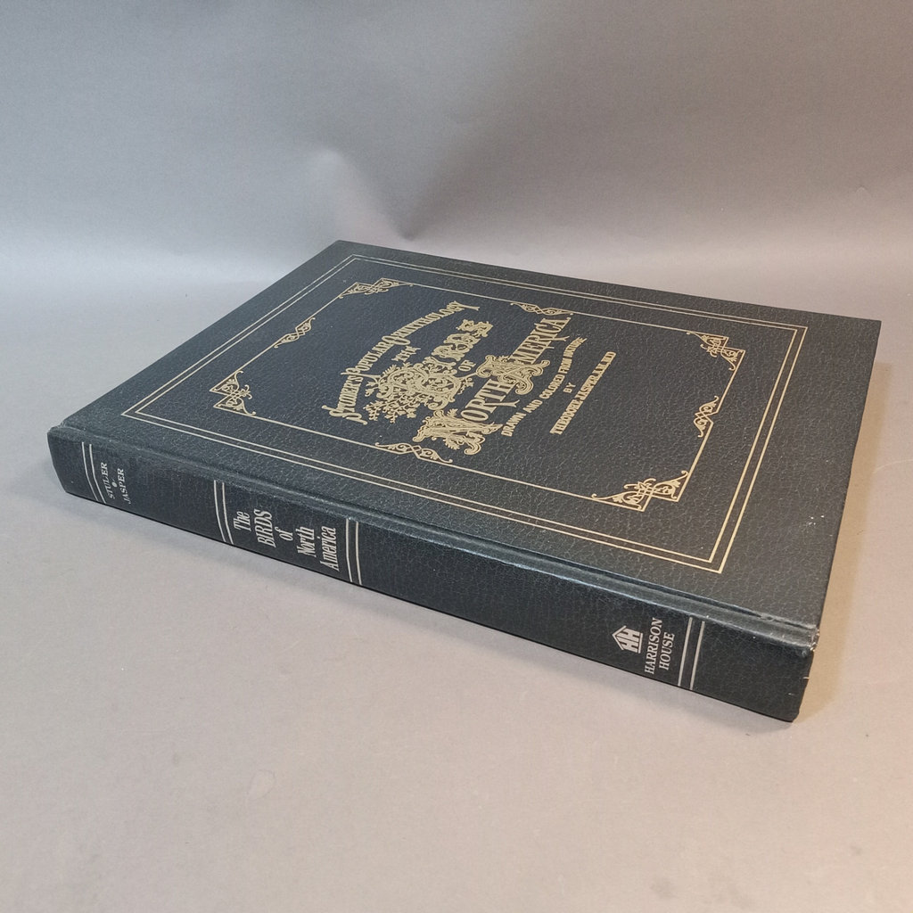 Studer's Popular Ornithology / Oversize Book - image 2 of 9