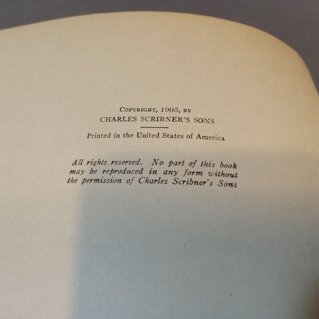 Stevenson, Burnett Books from Charles Scribner's Sons - image 6 of 20