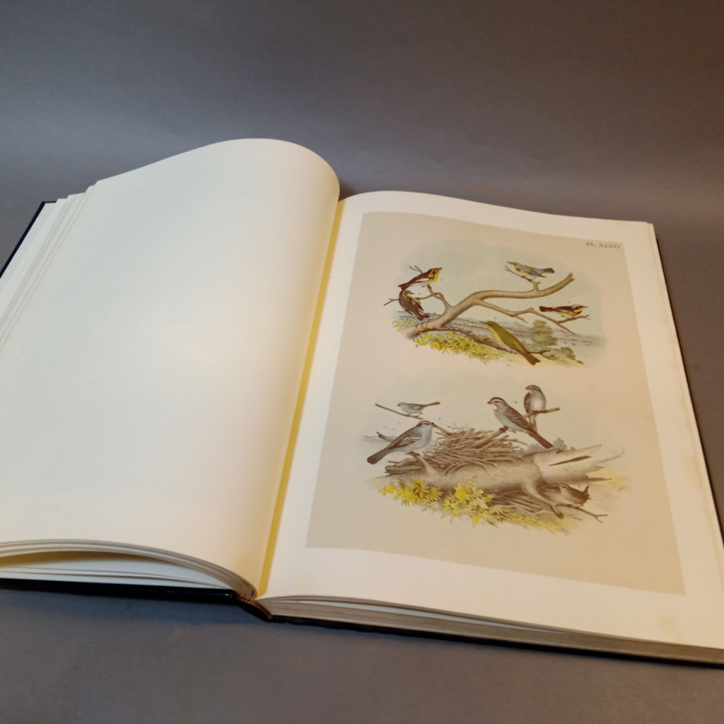 Studer's Popular Ornithology / Oversize Book - image 6 of 9