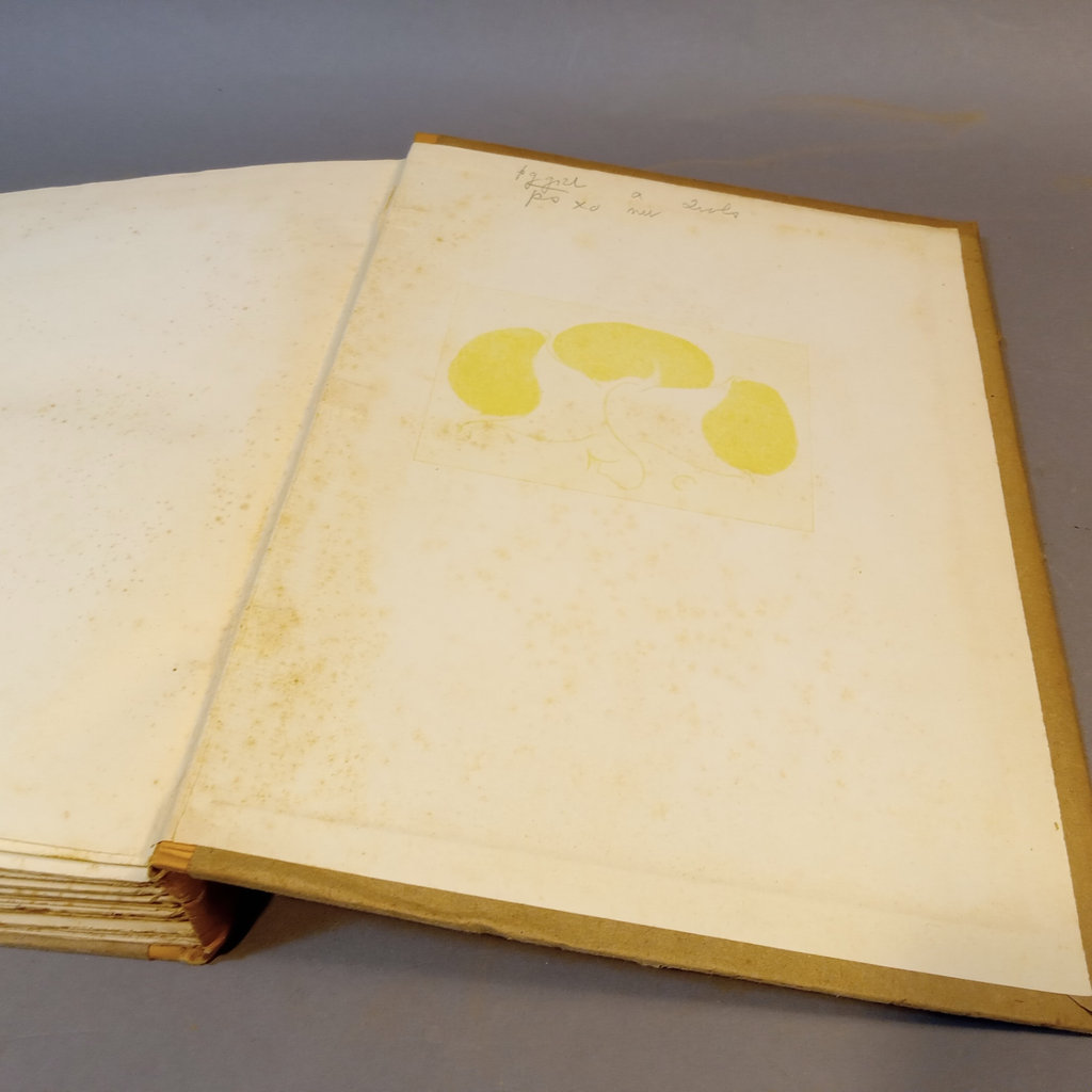 The Life of Whistler / Lippincott 1908 - image 12 of 13